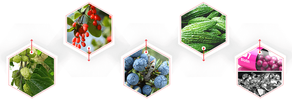 GlycoPrime Ingredients